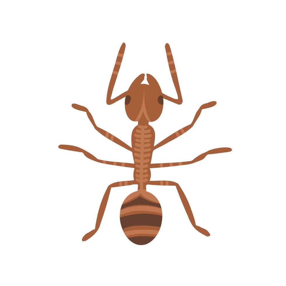 ant, bug animal, insect. Illustration for printing, backgrounds, covers and packaging. Image can be used for greeting cards, posters, stickers and textile. Isolated on white background. vector