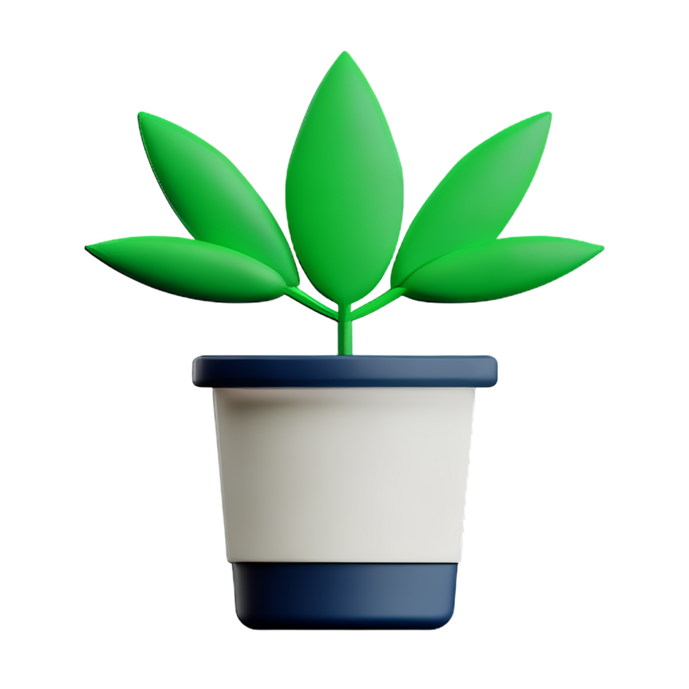 weed 3d rendering icon illustration png