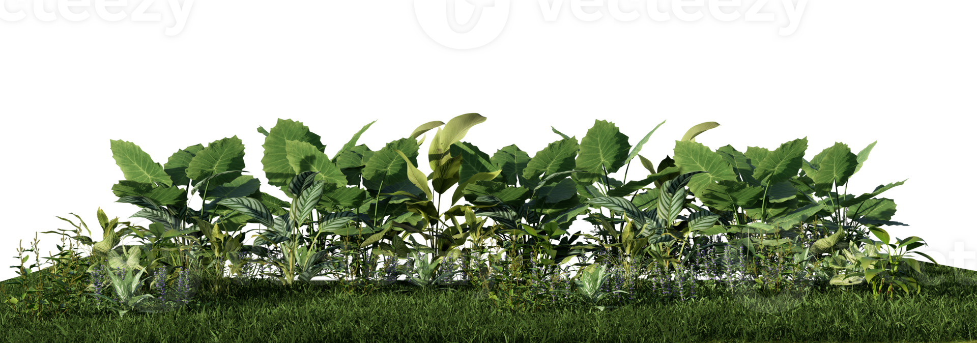 3d rendering illustration nature meadow bush on lawn grass field beautiful plant on white background landscape png