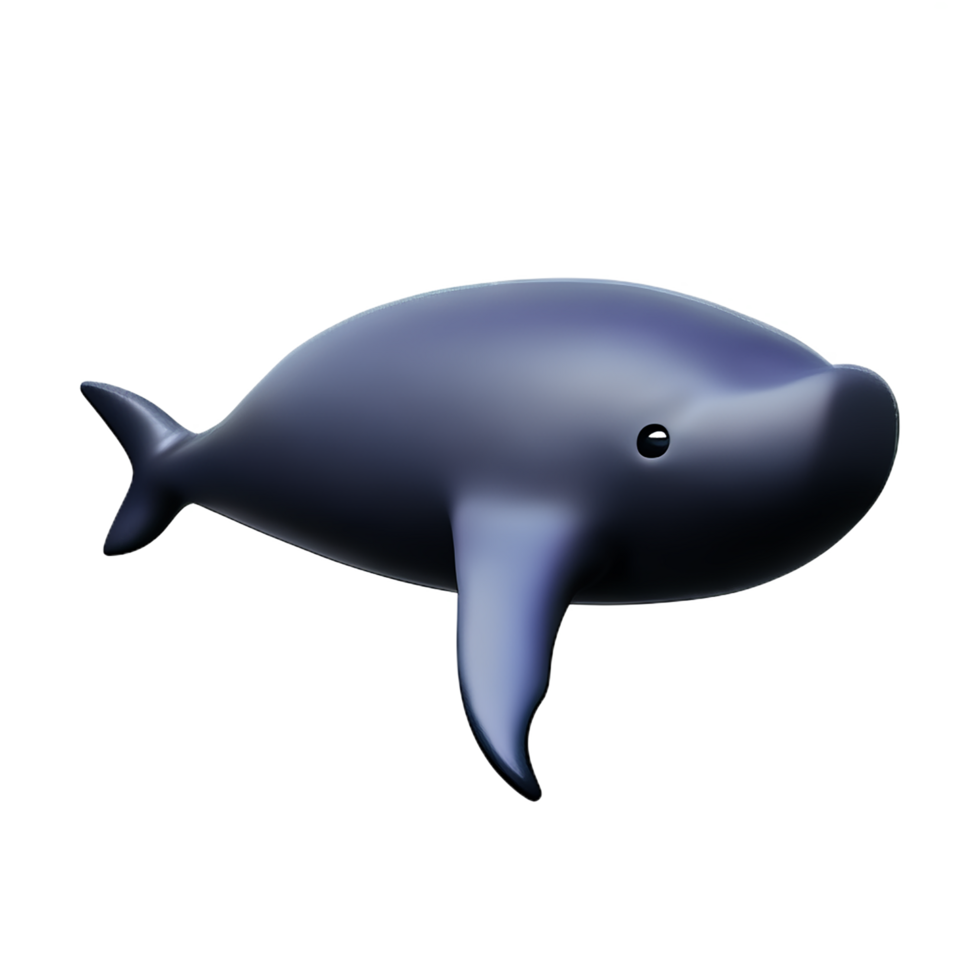 whale 3d rendering icon illustration png