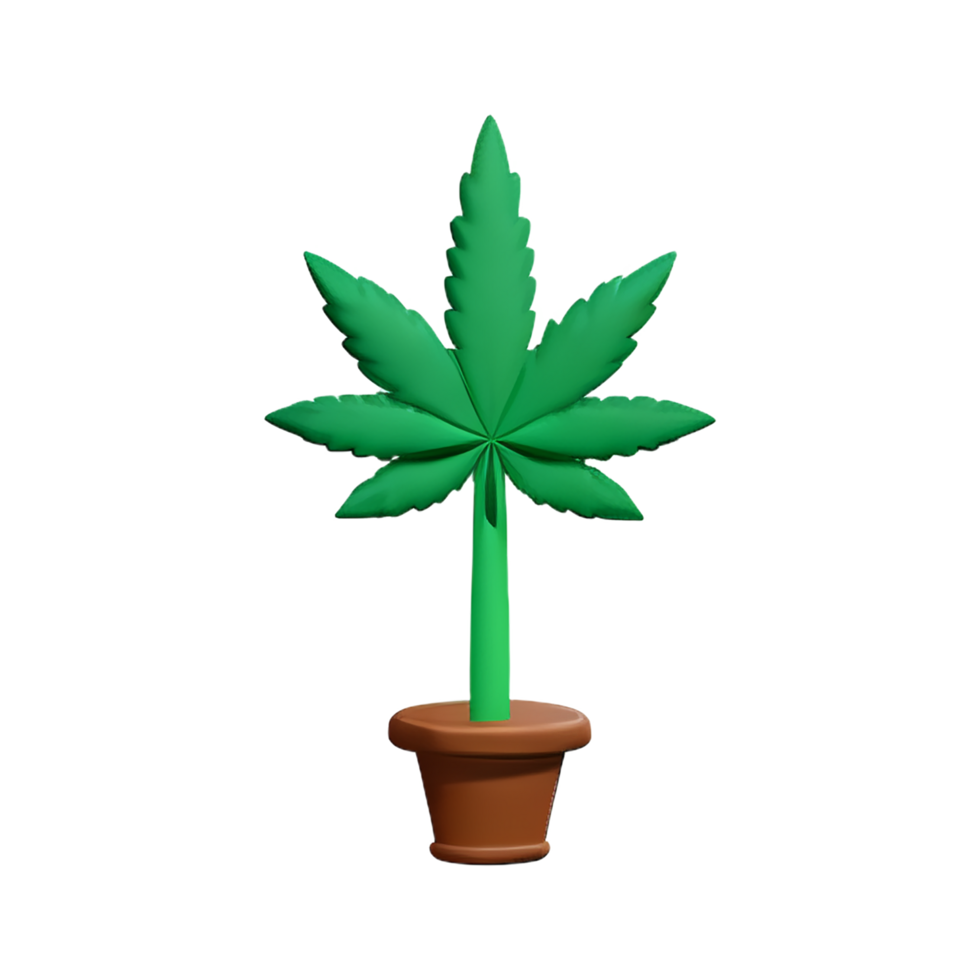 cannabis 3d le rendu icône illustration png