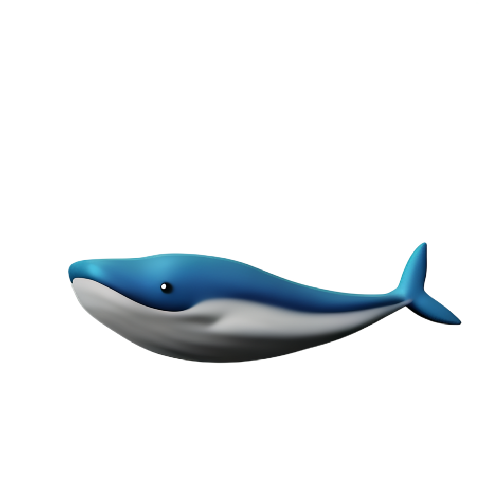 whale 3d rendering icon illustration png