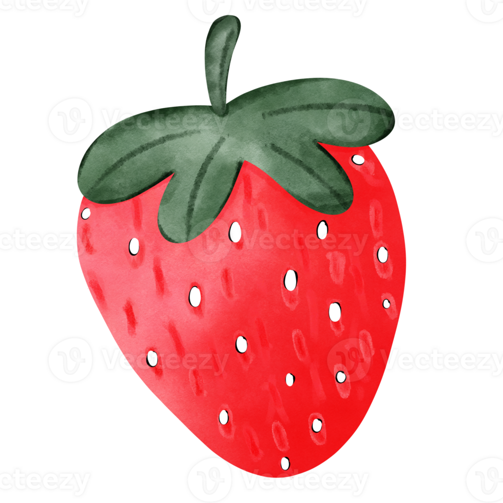 fraise l'eau Couleur png