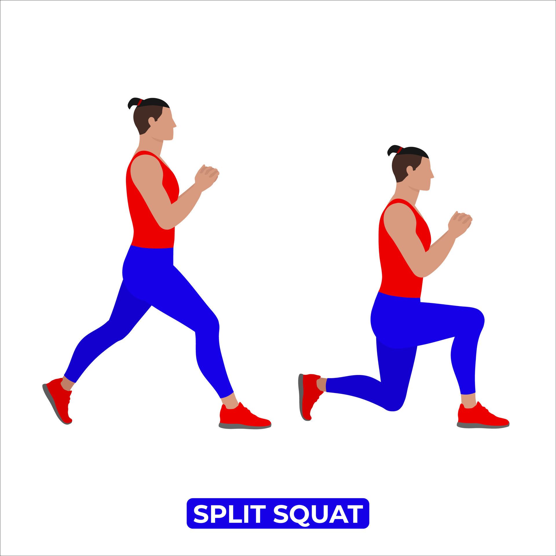 Men doing Squat exercise, Men workout fitness, aerobic and exercises.  Vector Illustration Stock Vector Image & Art - Alamy