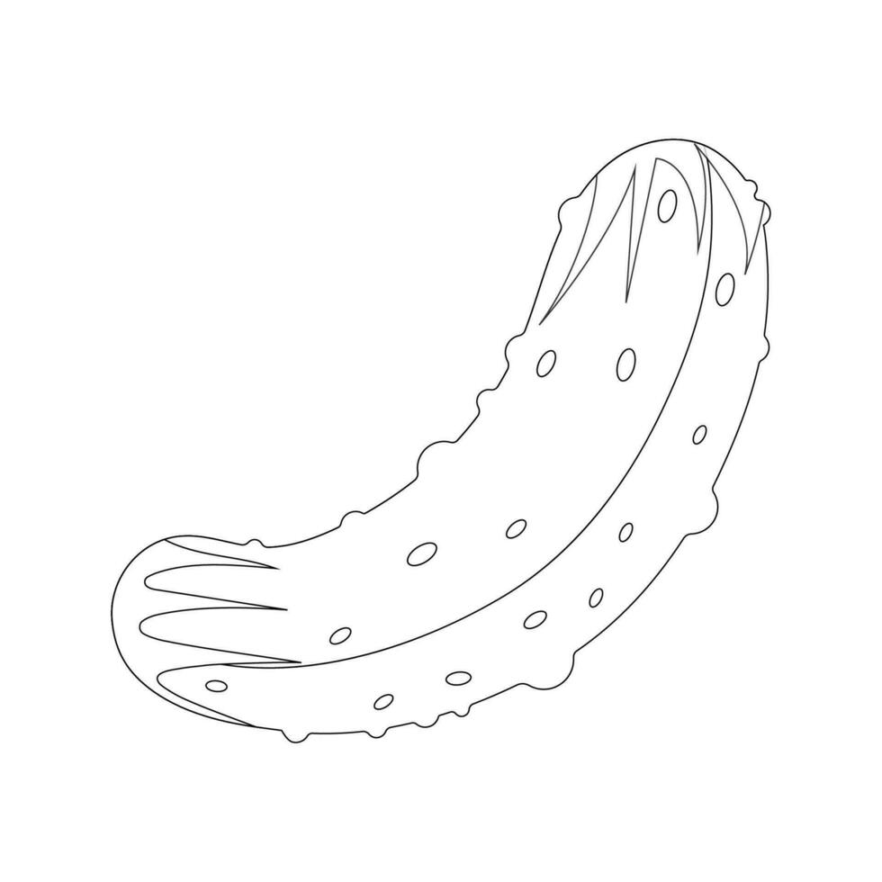 Cucumber sketch, contur. Monochrome outline of cucumber isolated on white vector
