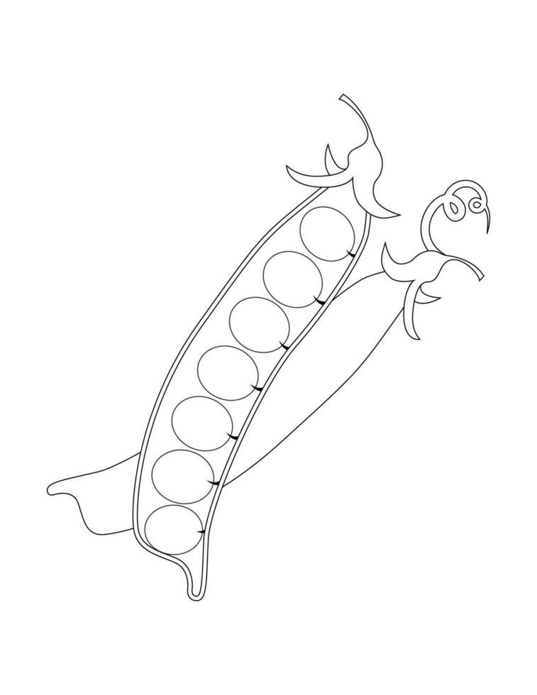 Peas, black and white image by a line. Peas in a row. Adult and children coloring book. vector