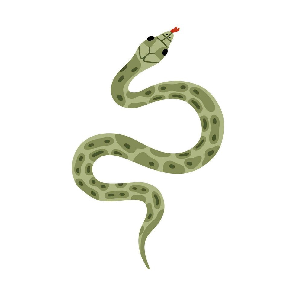 Hand drawn snake clipart. Tropical or Wild West poison viper in the top ...