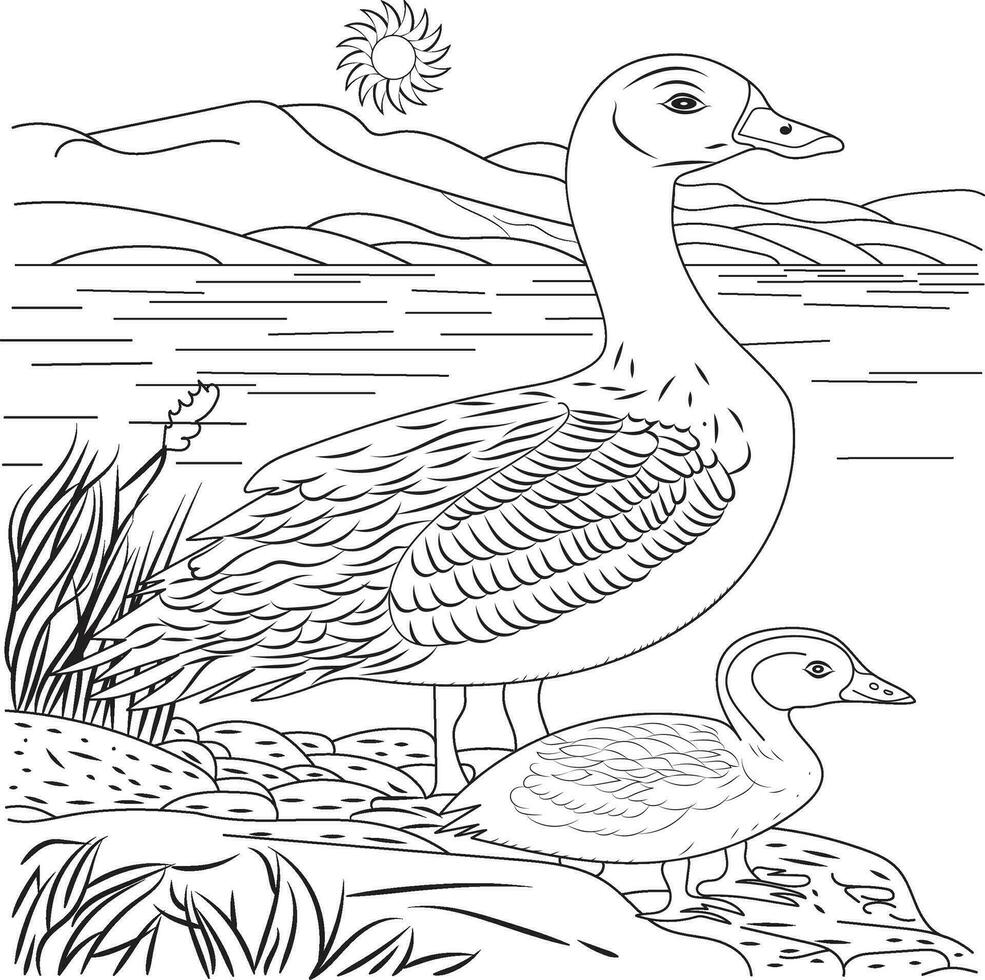 Duck on The River Adult Coloring Page vector
