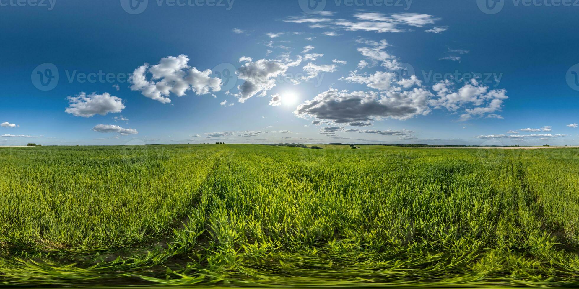 spherical 360 hdri panorama among green grass farming field with clouds on blue sky with sun in equirectangular seamless projection, use as sky replacement, game development as skybox or VR content photo