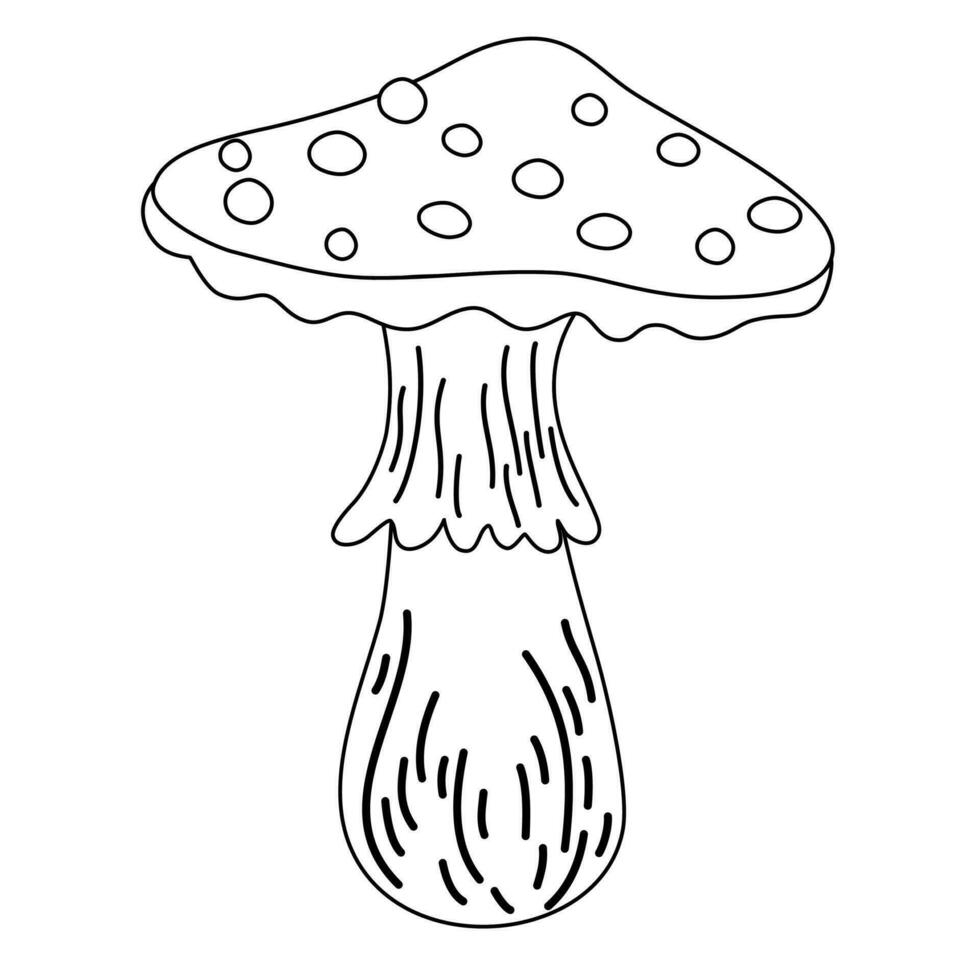 Mushroom contour. Fly agaric mushroom Line and cartoon vector illustration for kids coloring page and book. Inedible mushroom isolated on white background