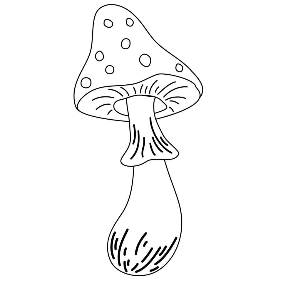 Fly agaric mushroom contour. Line and cartoon vector illustration for kids coloring page and book. Inedible mushroom isolated on white background