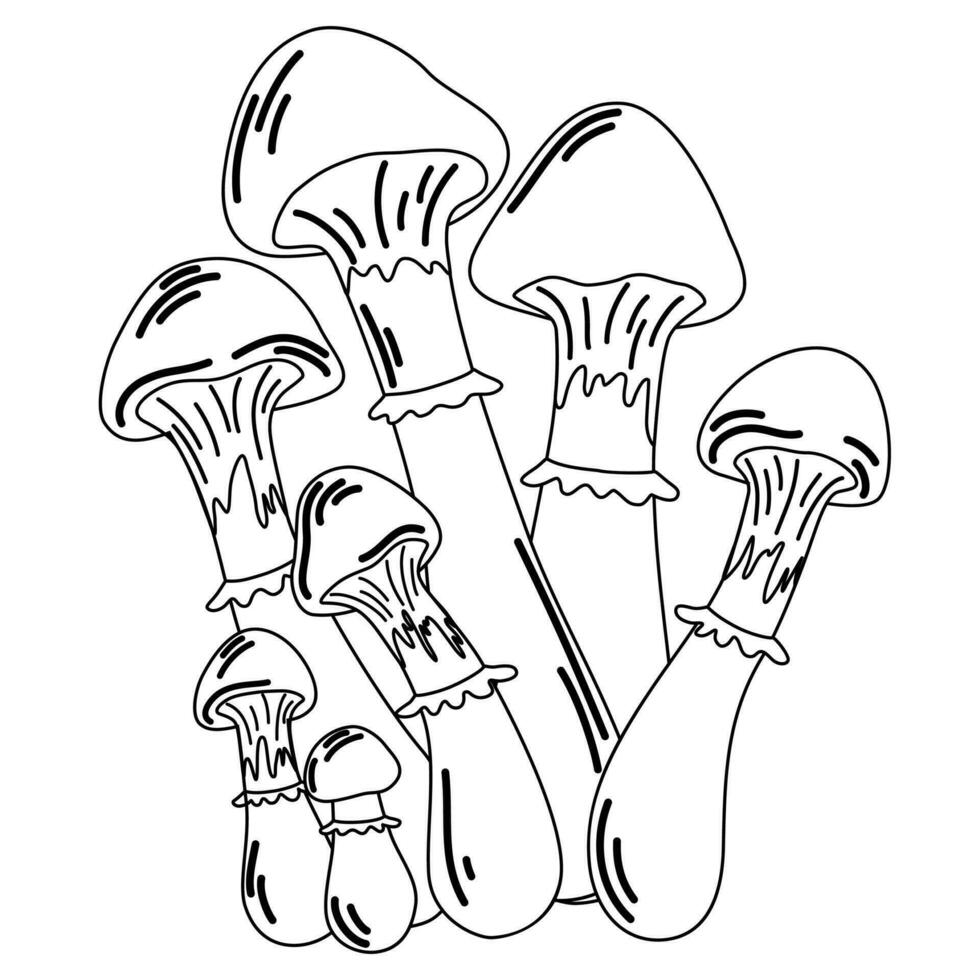 Mushroom contour. Mushroom outline and cartoon vector illustration for kids coloring page and book. Inedible mushroom isolated on white background