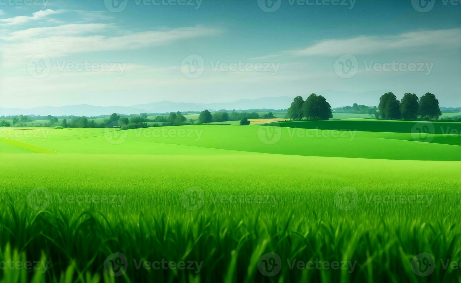 un hermosa verde trigo campo, generativo ai ilustración. foto