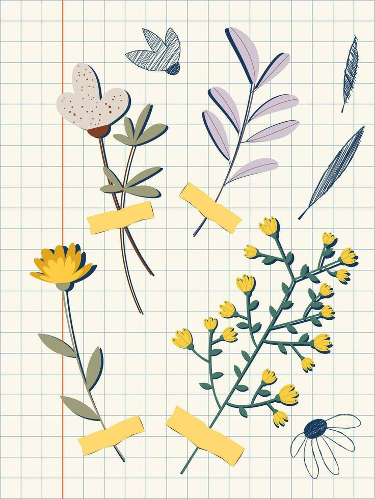 Herbarium vector illustration in flat style. Dried flowers are glued to checkered notebook paper.