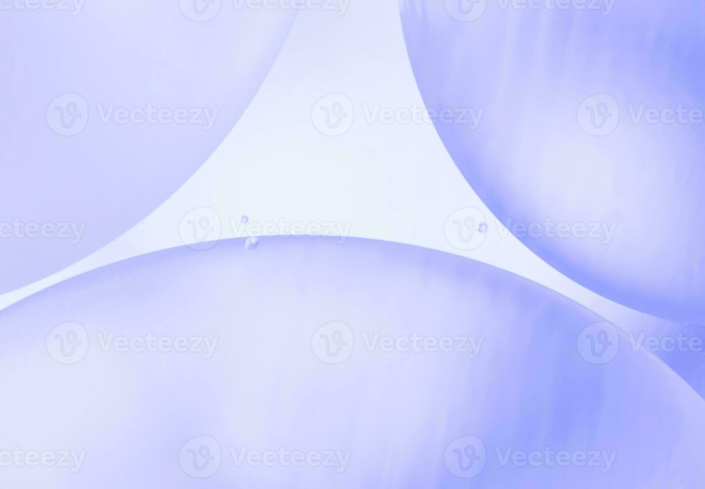 Gradient Abstract Bubbles on a Colorfully Blurred Canvas photo