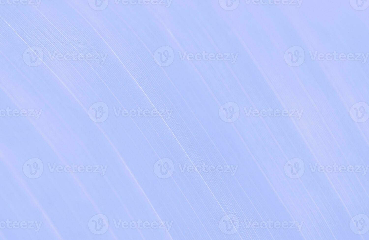 Abstract Modern Illustration Stripes Background Design photo