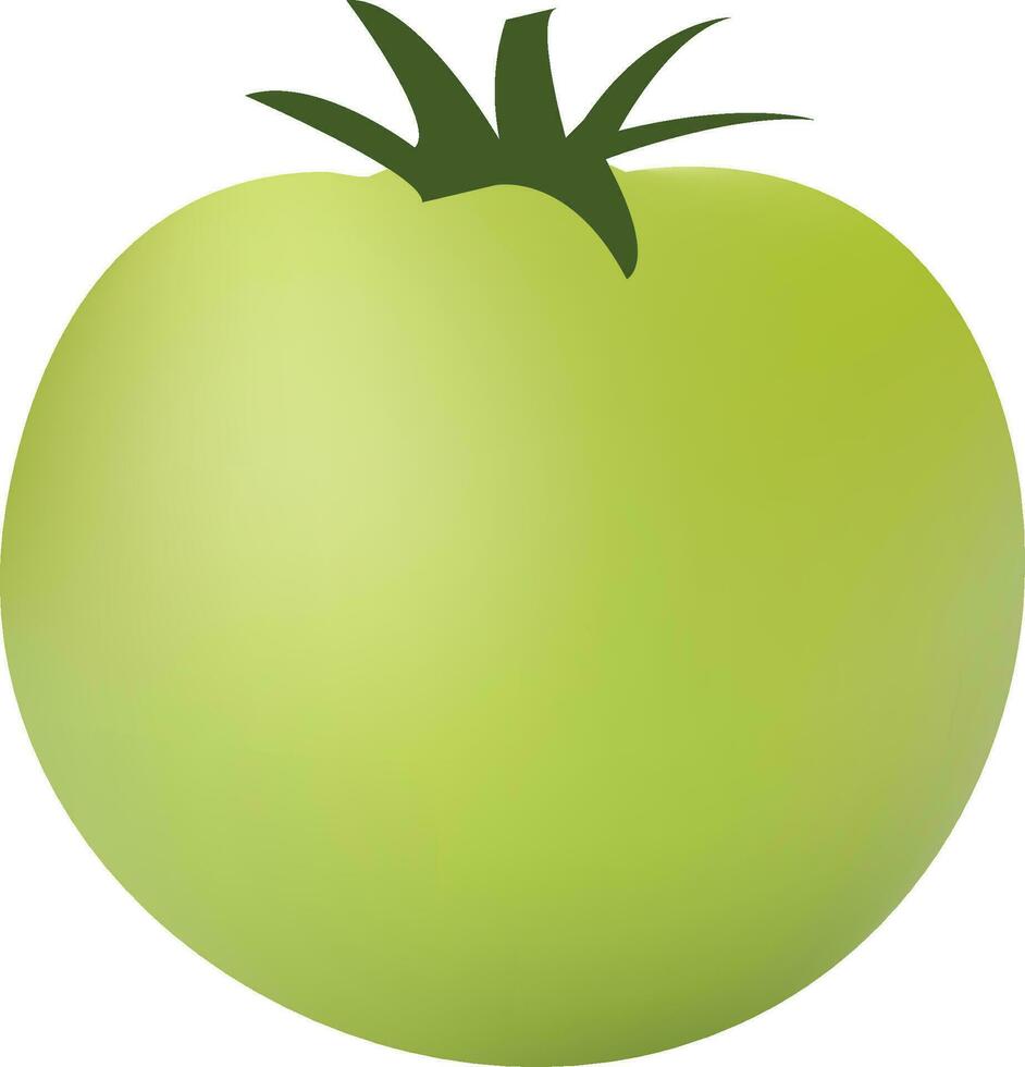 Green Tomato Illustration On White Background vector