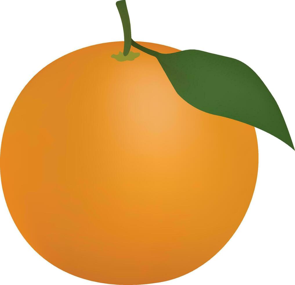 naranja ilustración en blanco antecedentes vector