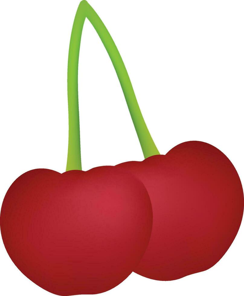 Cherry Illustration On White Background vector