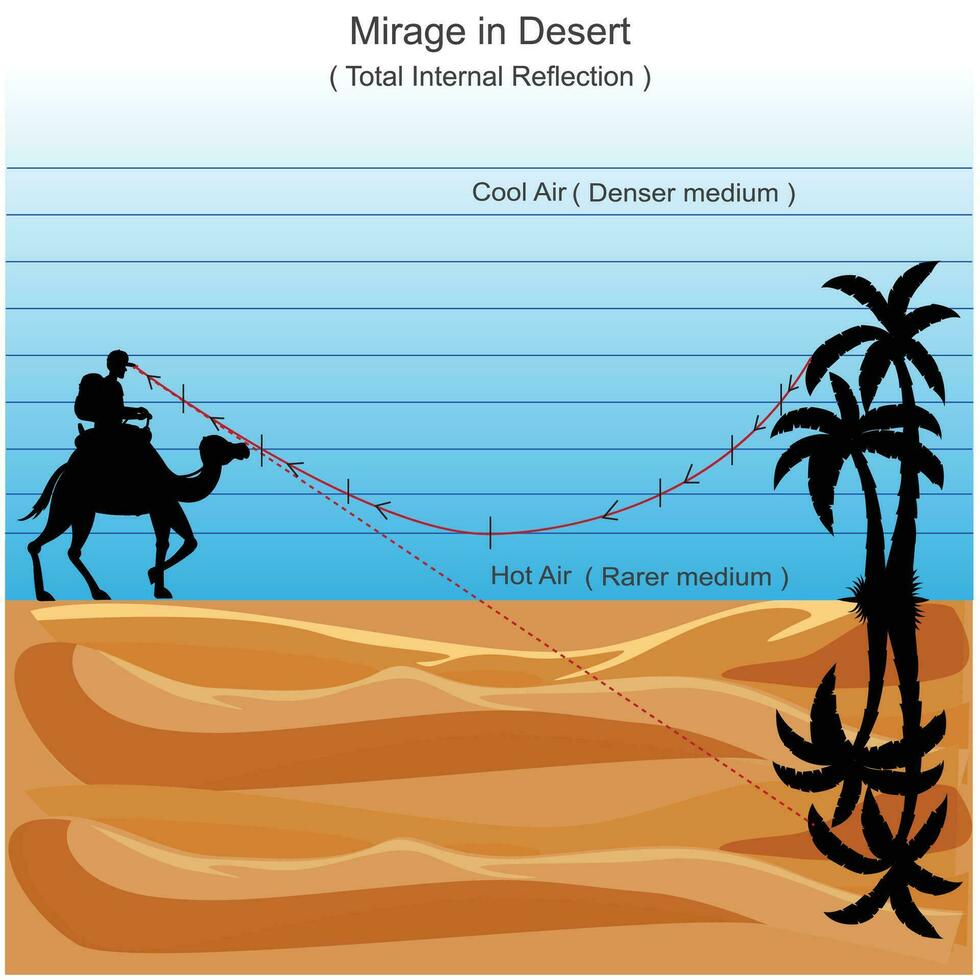 espejismo fenómenos en Desierto con un ejemplo de un observador hombre en Desierto caliente superficie mirando el palma árbol y el reflexion.fisica , Ciencias ilustración.total interno reflexión. vector