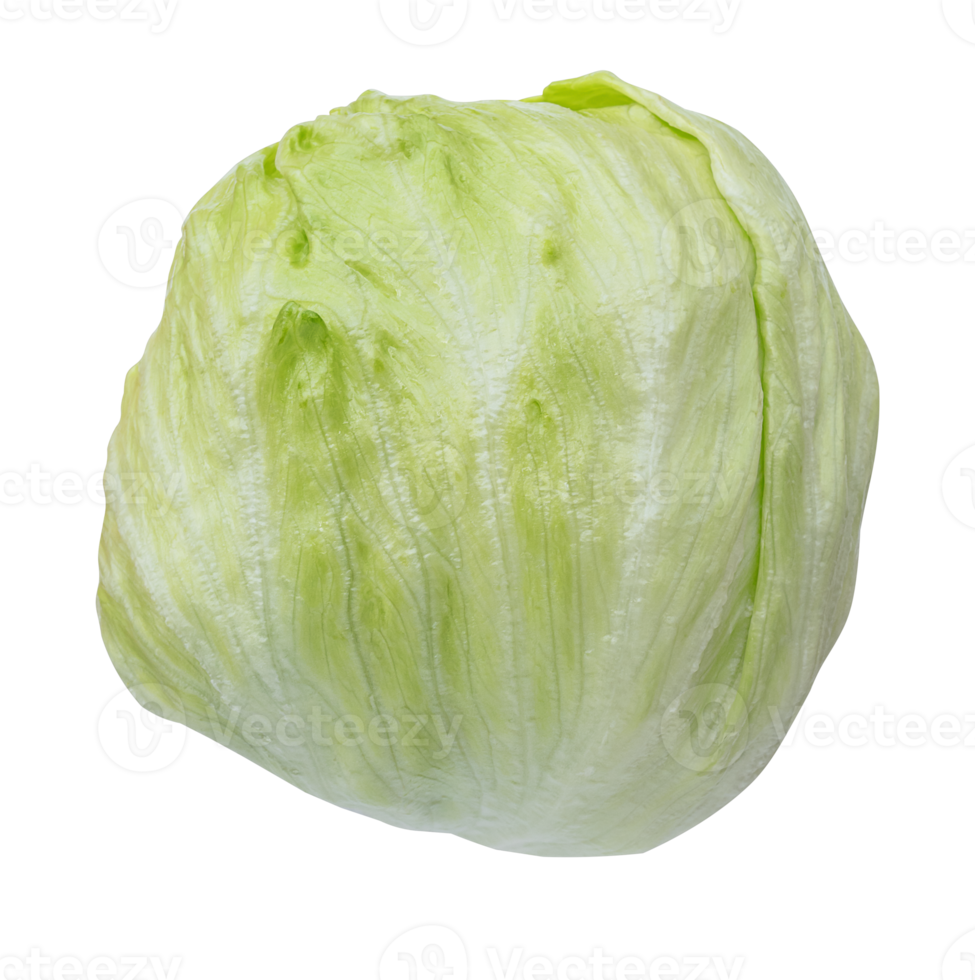 Crisphead lettuce vegetable png