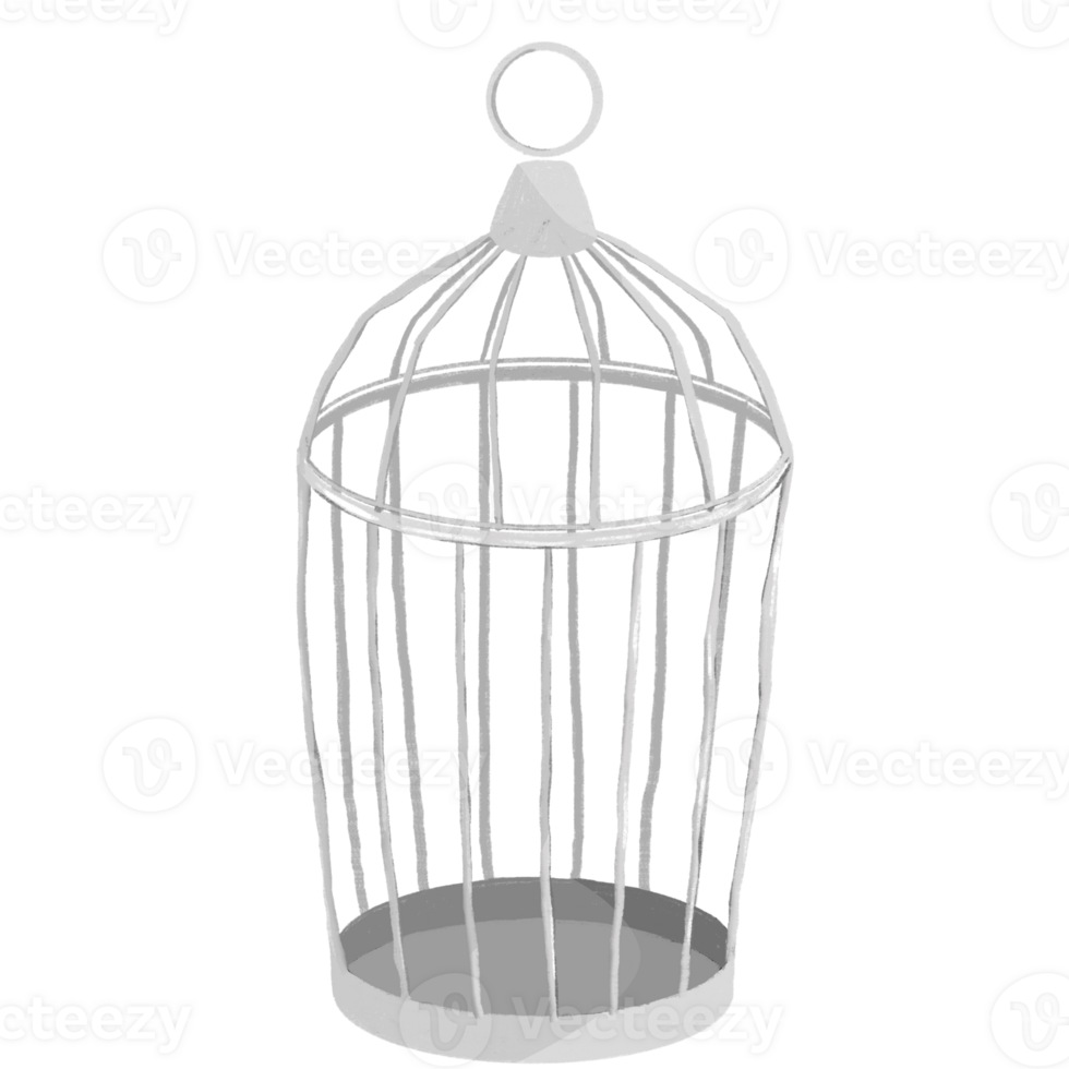 The silver cage. png