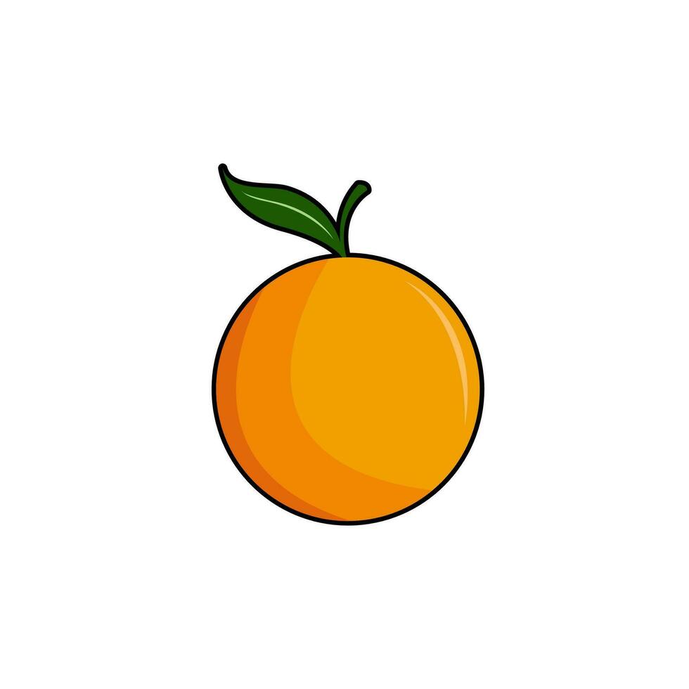 Fresh and sweet citrus fruit vector illustration