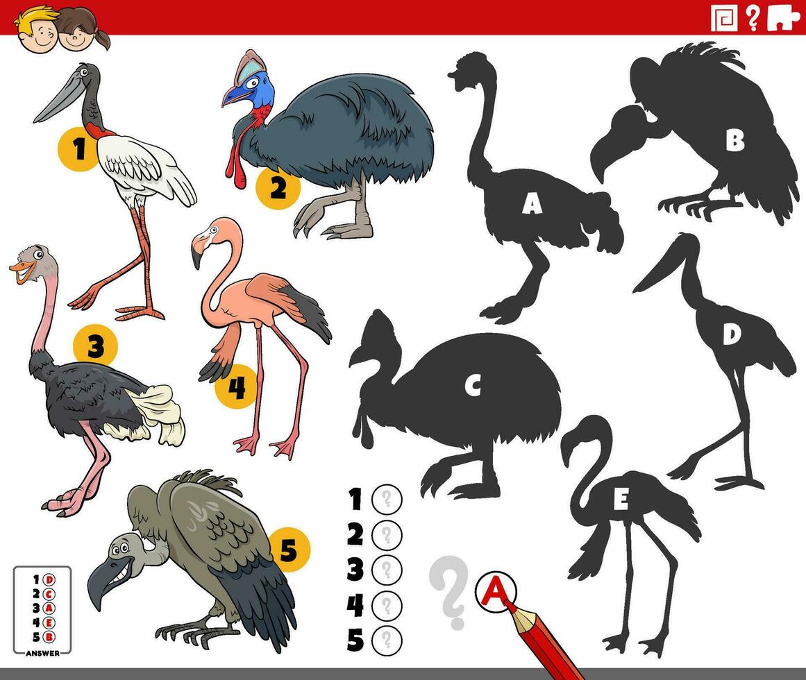 shadows game with comic birds animal characters vector