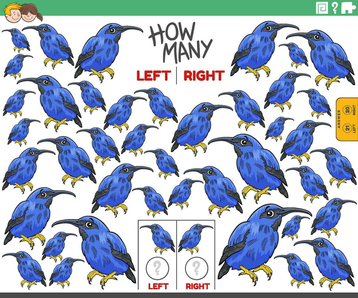 counting left and right pictures of cartoon honeycreeper bird vector