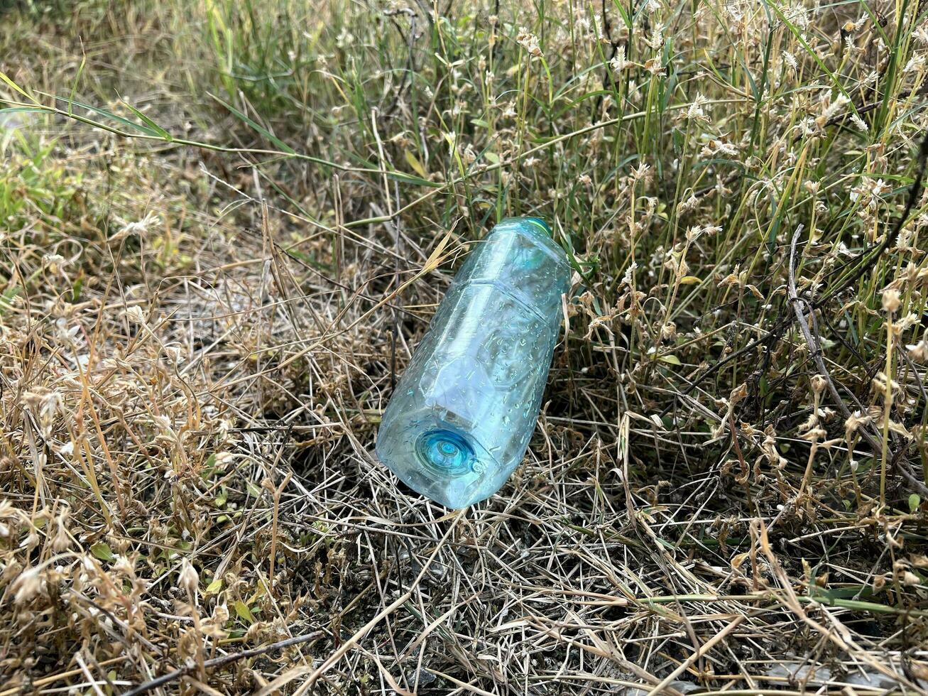 a bottle of water in the forest. environmental problem. photo