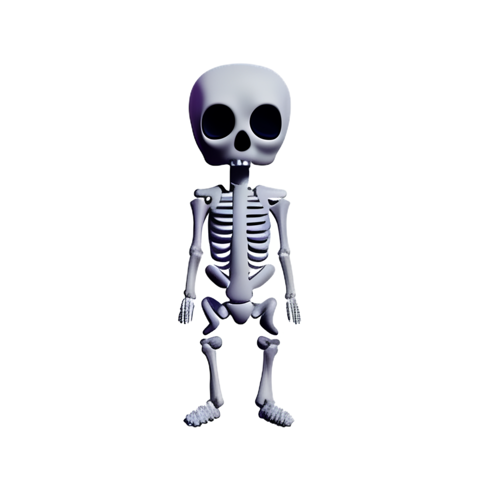 skeleton 3d rendering icon illustration png
