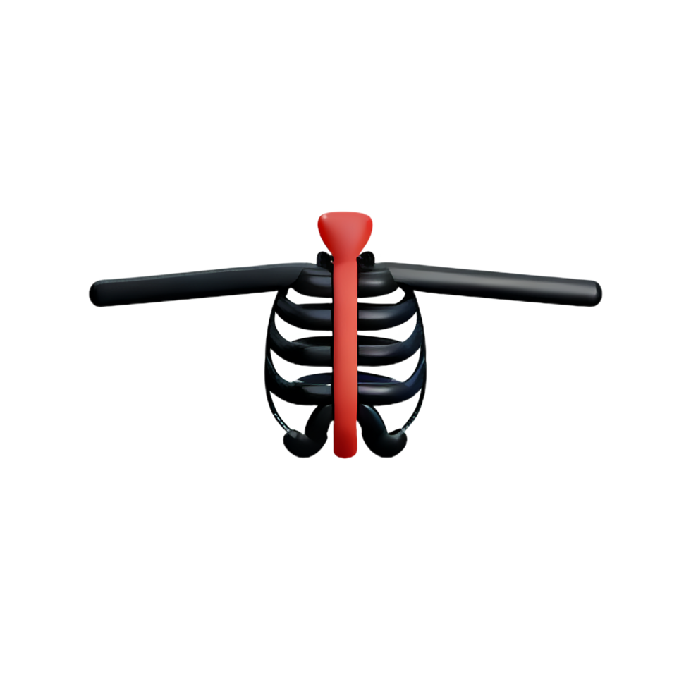 skeleton 3d rendering icon illustration png