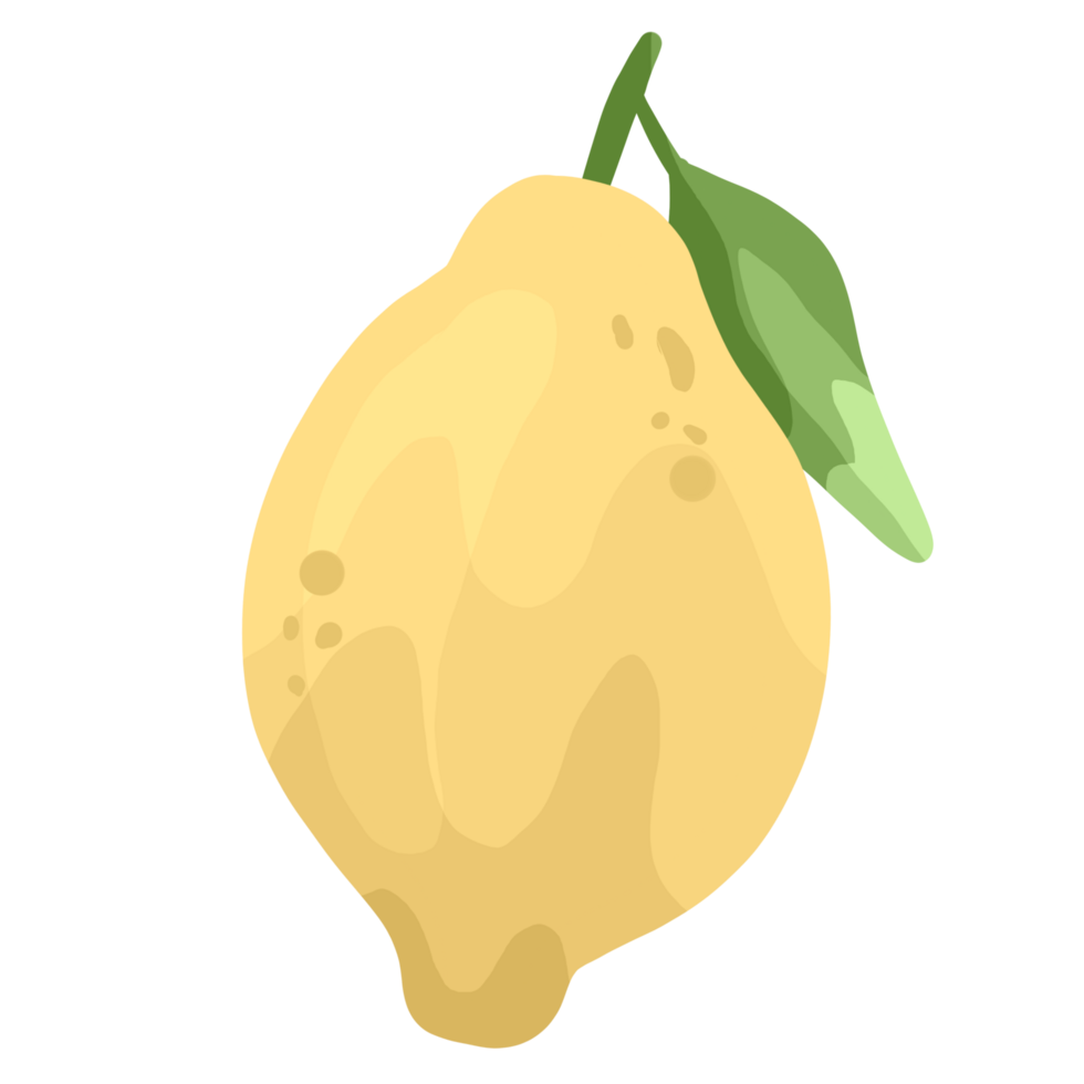 de citron- är en arter av små vintergröna träd i de blommande växt familj Rutaceae inföding till Asien illustrationer. png