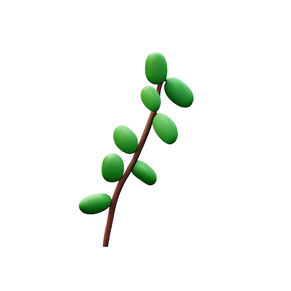 eucalyptus 3d rendering icon illustration png