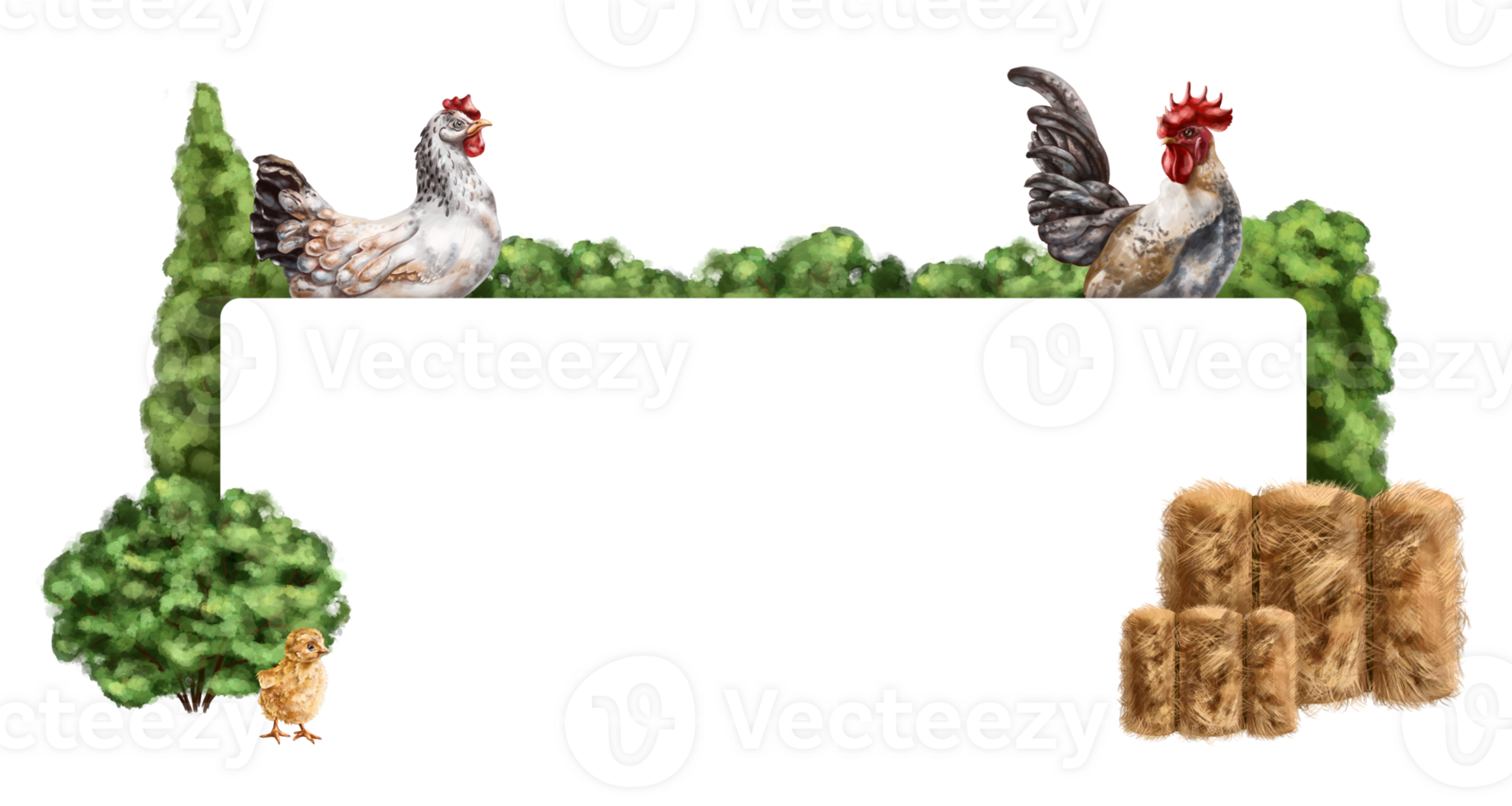 Farm composition frame of chicken, chicken, rooster among haystacks and greenery. For postcards, textiles, booklets, banners, stickers. Digital illustration png