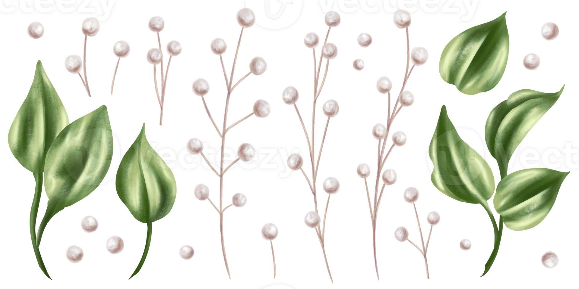 A set of green rose leaves and dried decorative flowers in watercolor style. Digital illustration. For invitations, date saving, gratitude or greeting card png
