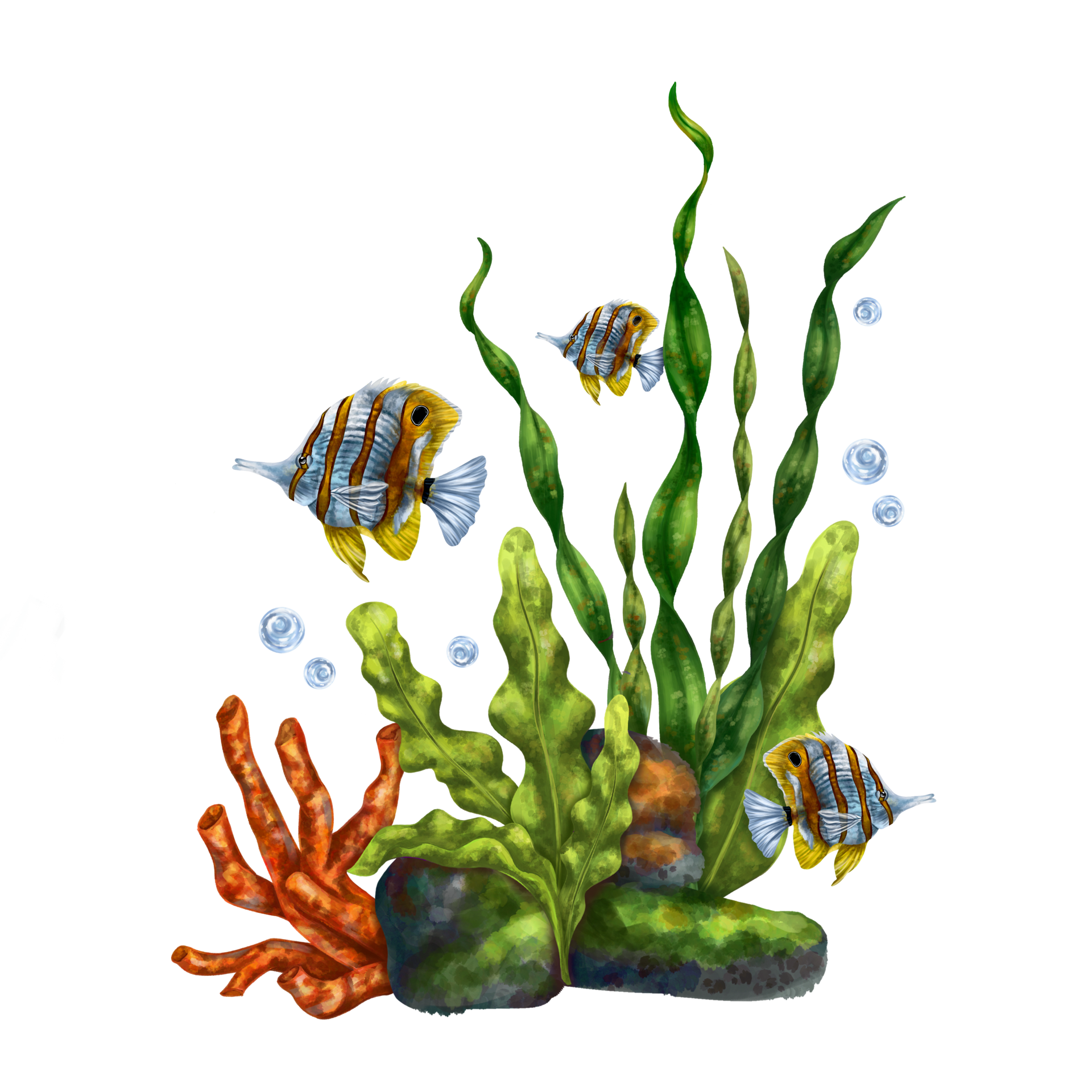 A bright composition with an underwater world. Red coral, seaweed