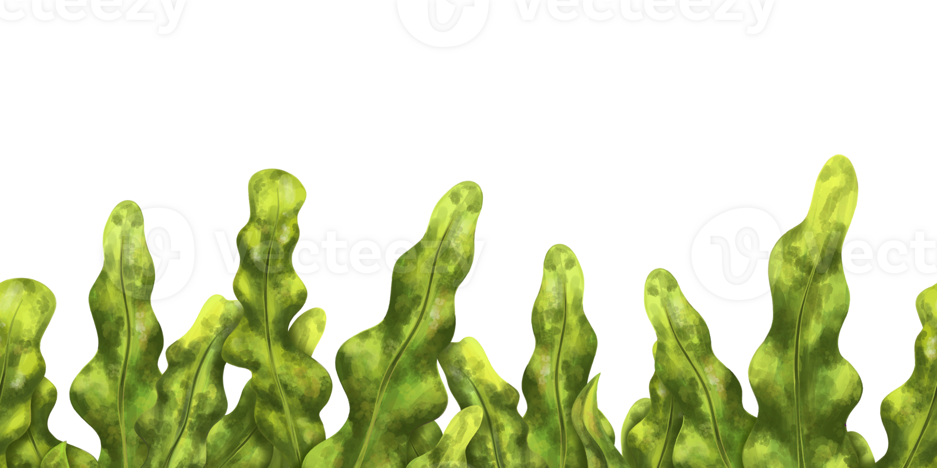 Seamless border made of green seaweed. Underwater tropical flora, exotic plants in the wild world. Isolated digital illustration. Habitat of fish and sea creatures png