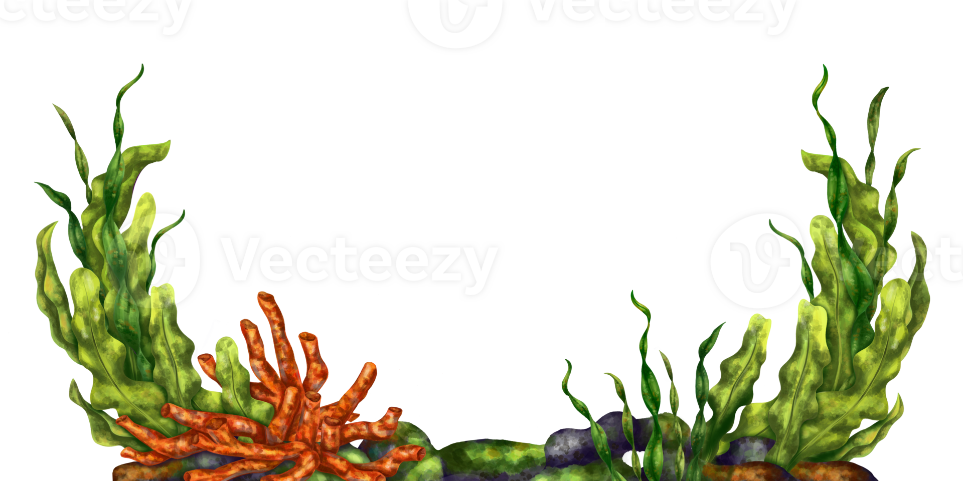A bright composition with an underwater world. Red coral, seaweed and stone rock. Digital illustration. For printing, stickers, posters, postcards, prints png