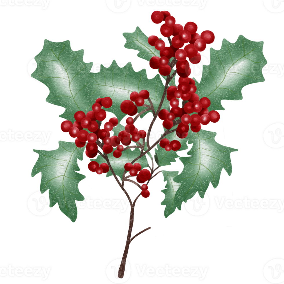Christmas berry and wreath png