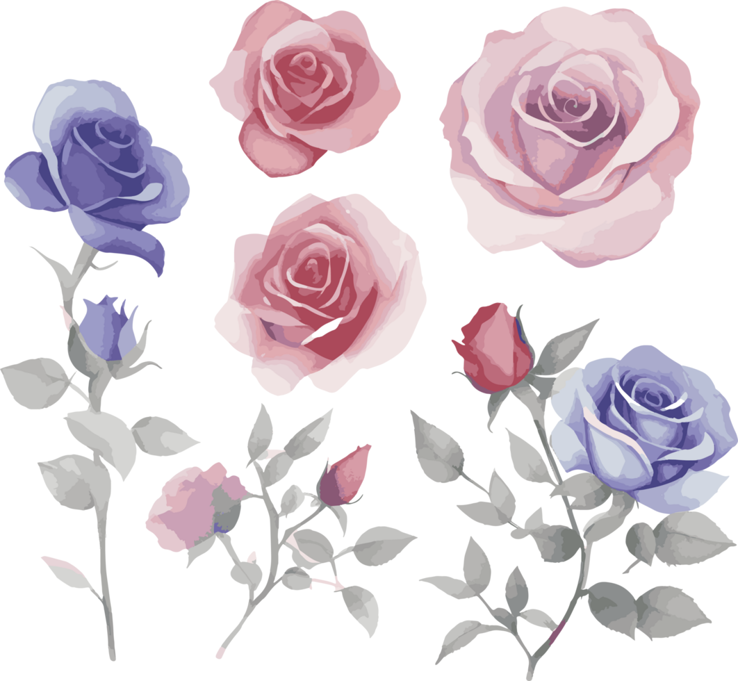 Soft colorful watercolor design background texture png