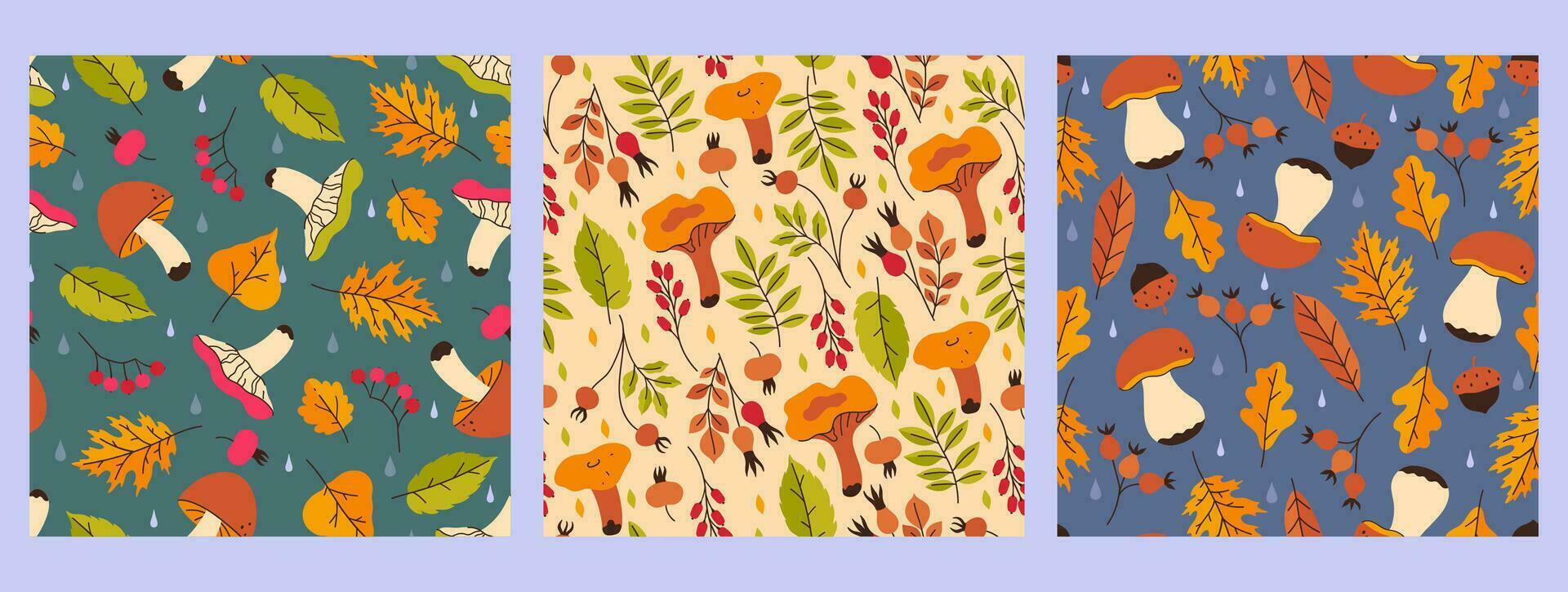 Collection of autumn seamless patterns with mushrooms, berries and leaves. Vector graphics.