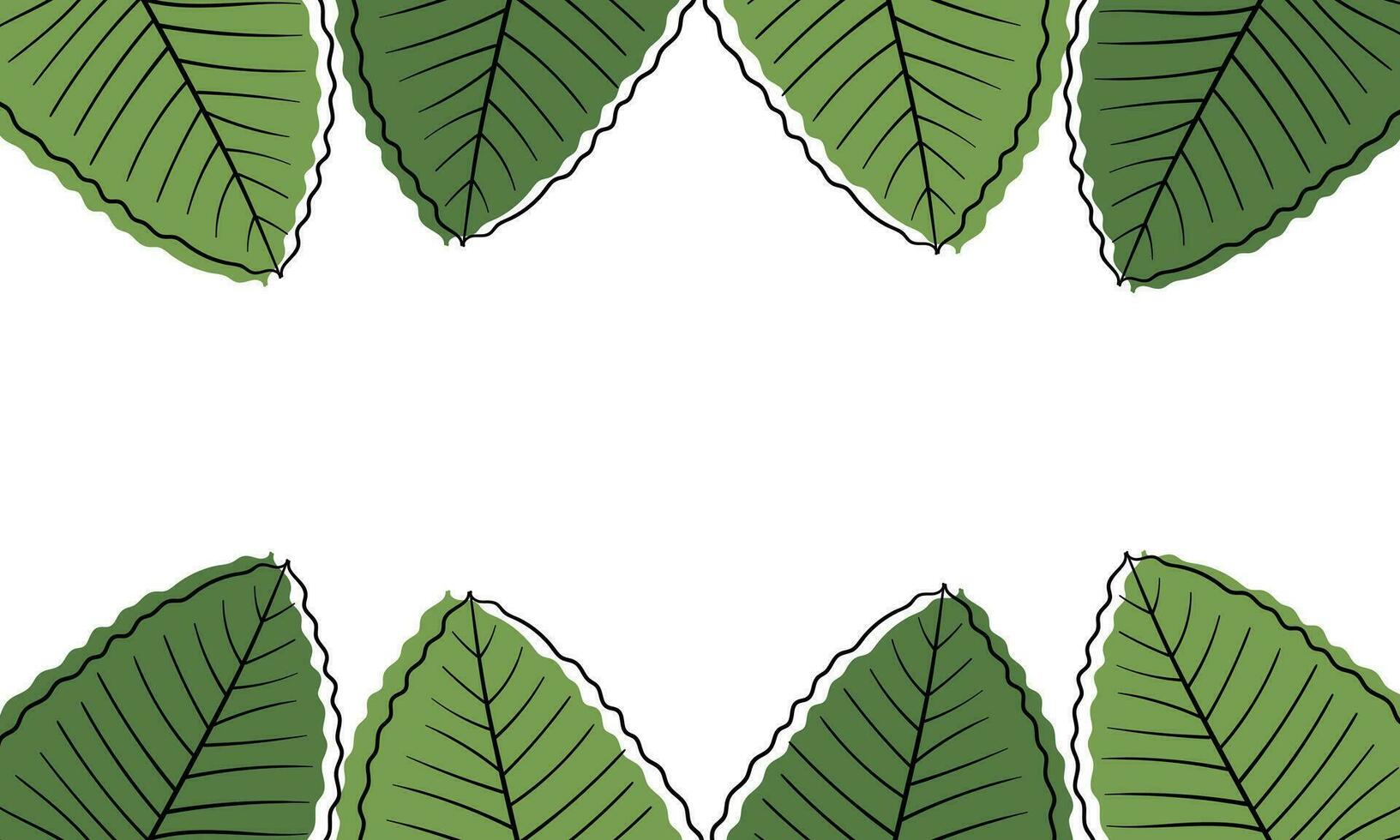 leaf hand drawn illustration background with nature theme on white background vector