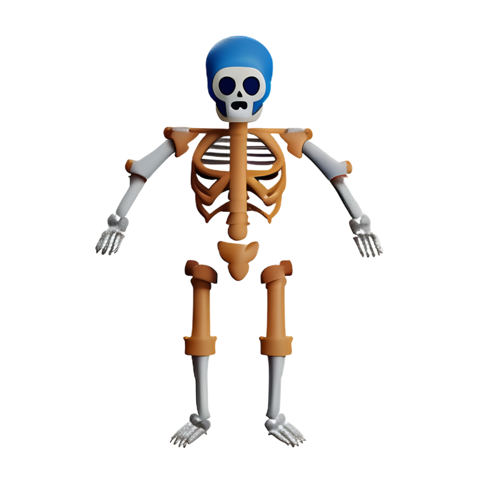 skeleton 3d rendering icon illustration png