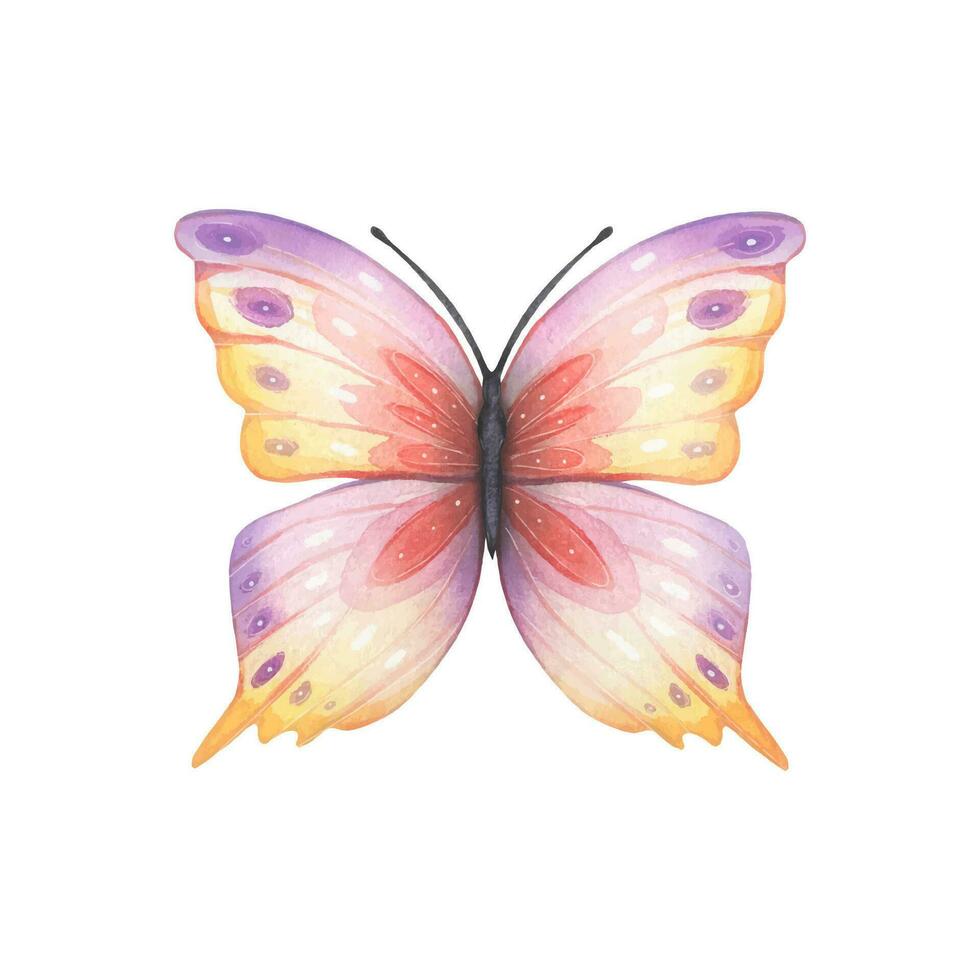 Hand drawn abstract butterfly in purple, yellow, red tones vector