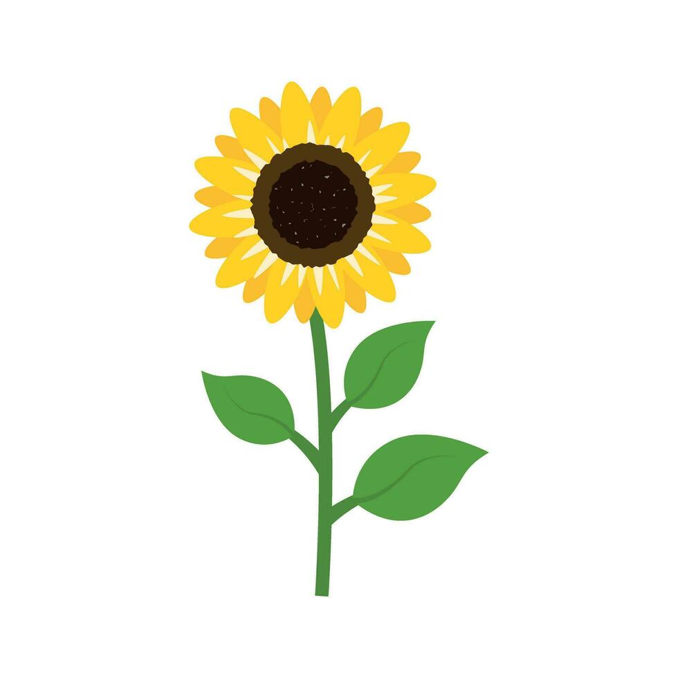 Sunflower icon in flat style. Flora vector illustration on isolated background. Sunflower sign business concept.