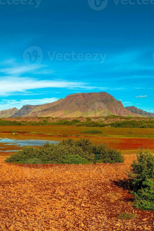 Cover page with Icelandic colorful and wild landscape with meadow and moss field, volcanic black sand and lava at summer with blue sky, Iceland photo