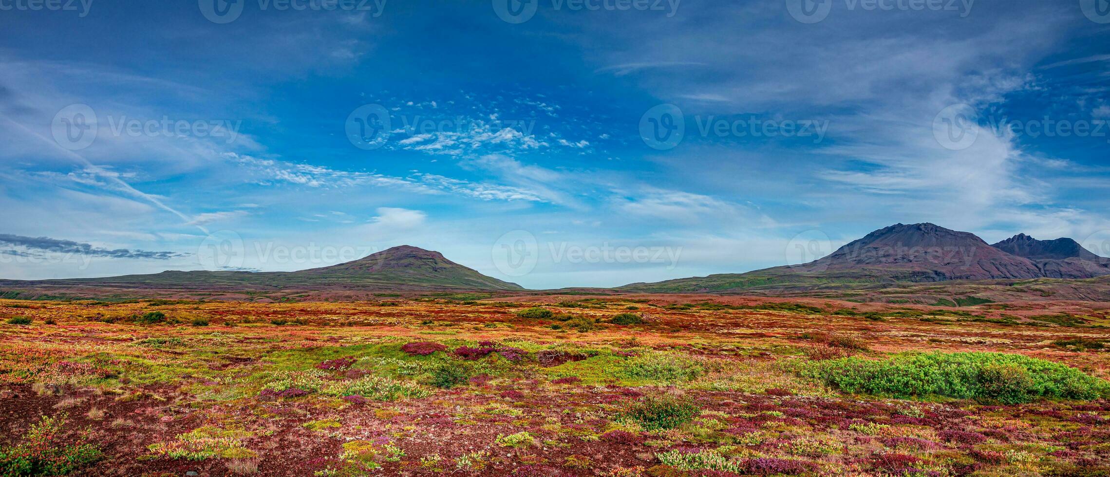 Panoramic over Icelandic colorful and wild landscape with meadow and moss field, volcanic black sand and lava at summer with blue sky, Iceland photo