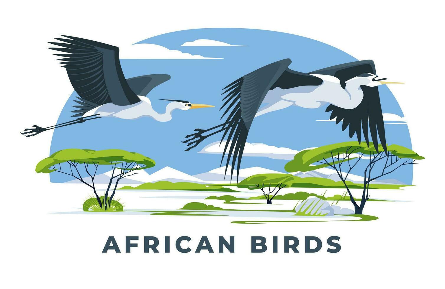 Two African herons flying over the savannah landscape. African wildlife. Exotic birds. Vector flat illustration