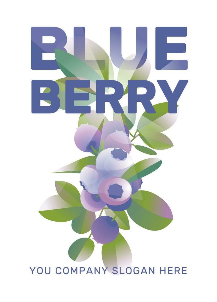 Blueberry with leaves on the sun light. White background. Vector illustration